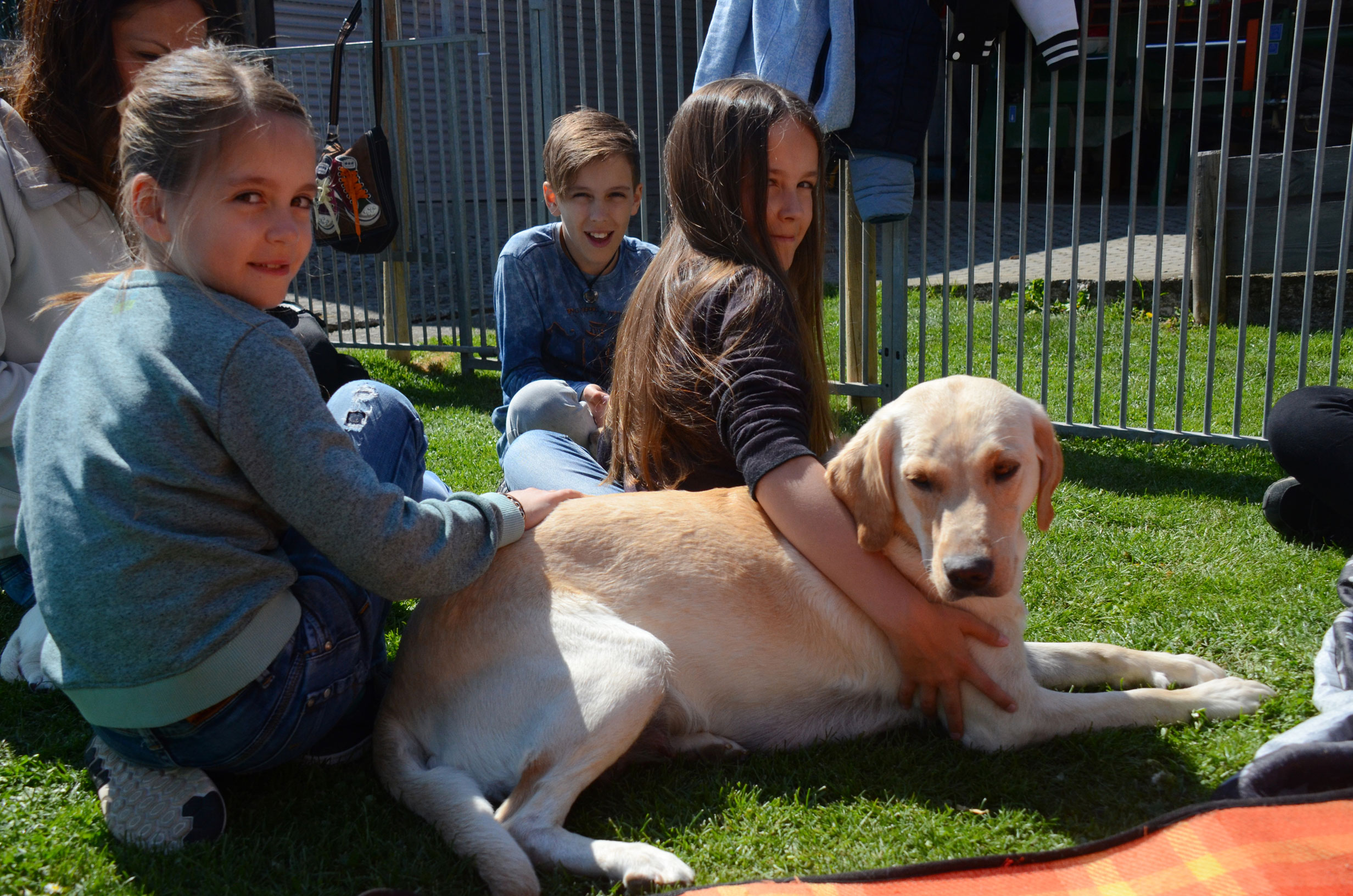 Hund mit Kindern